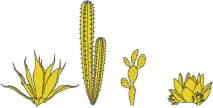 Cactus