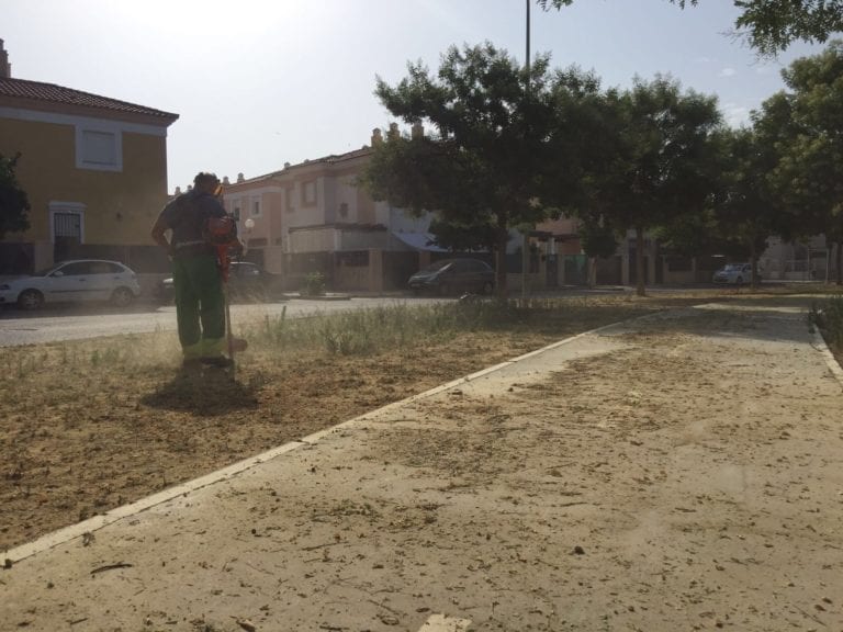 Un trabajo de jardinería mal hecho pone en riesgo la estética de nuestras áreas verdes y representa mayores costos de mantenimiento a largo plazo.