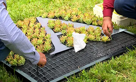 Proyecto Recuver Imta