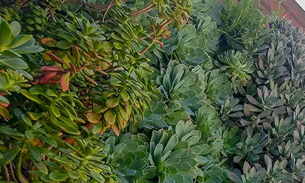 Proyecto Recuver Instituto De Investigaciones Materiales