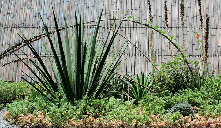 Proyecto Recuver Jose Azueta