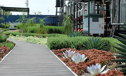 Proyecto Recuver Medix