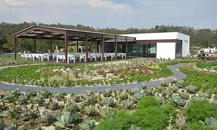 Proyecto Recuver Viltalmex